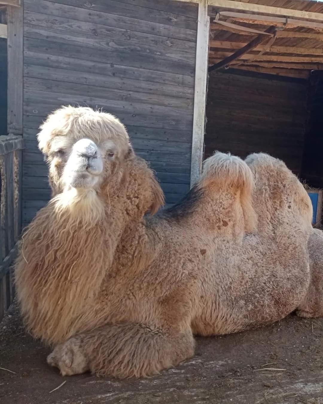 Agriturismo Zio Zac Torre Pali Eksteriør bilde