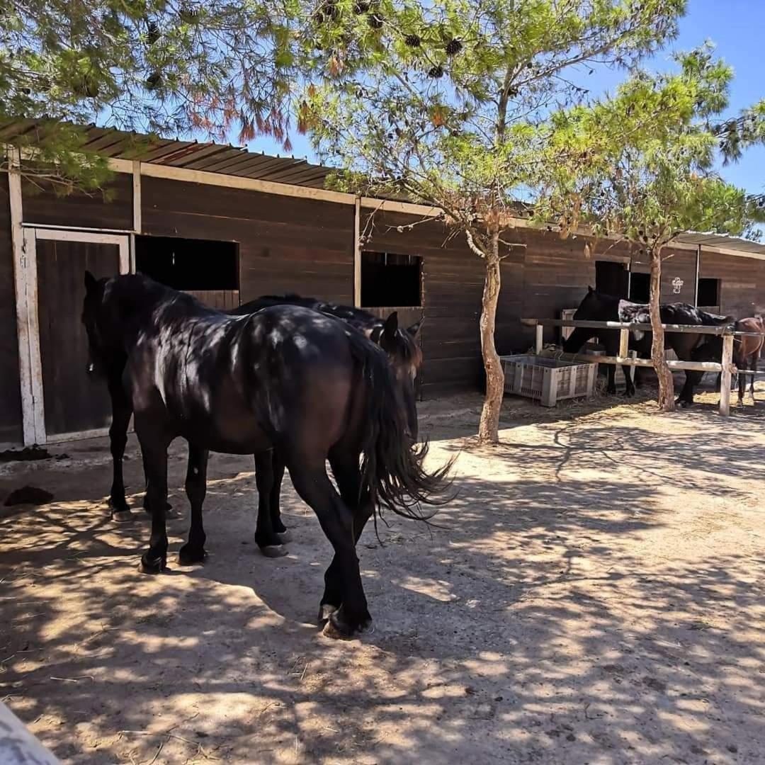 Agriturismo Zio Zac Torre Pali Eksteriør bilde