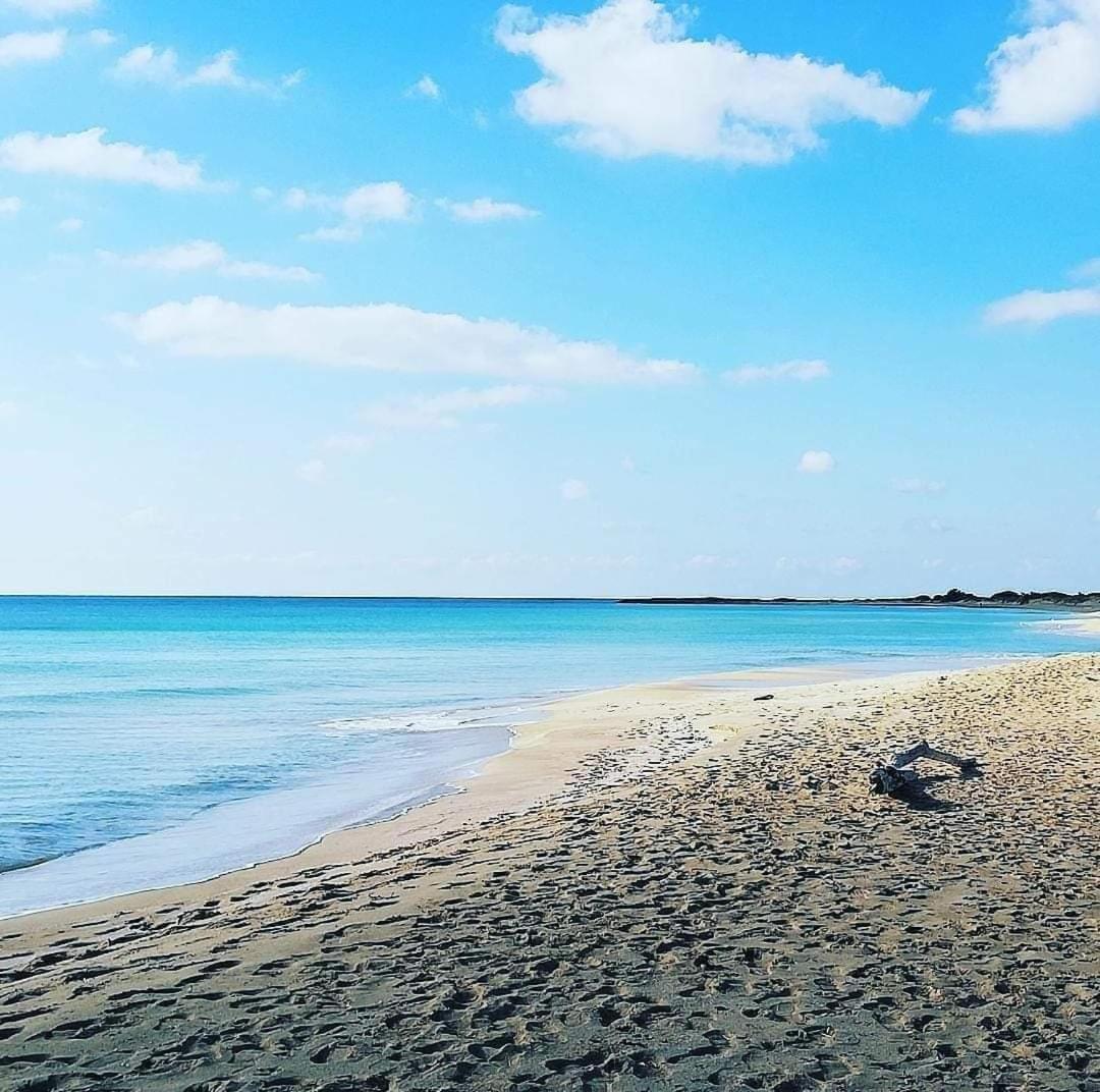 Agriturismo Zio Zac Torre Pali Eksteriør bilde