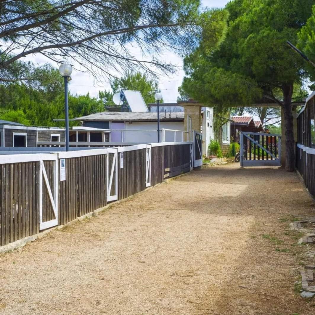 Agriturismo Zio Zac Torre Pali Eksteriør bilde